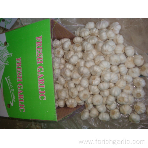 Different Packages Of Jinxiang Pure White Garlic